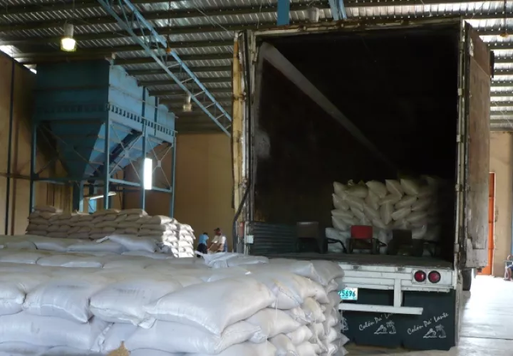 Solicitan información sobre compra de arroz. Archivo