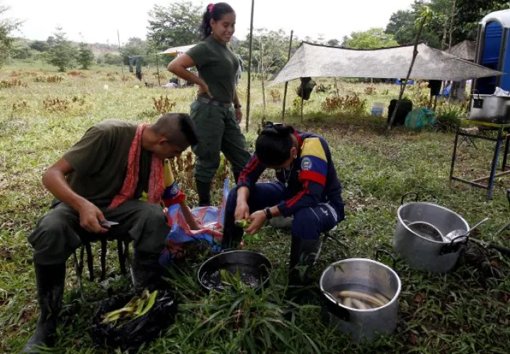 Aumentan desmovilizados. /Foto EFE