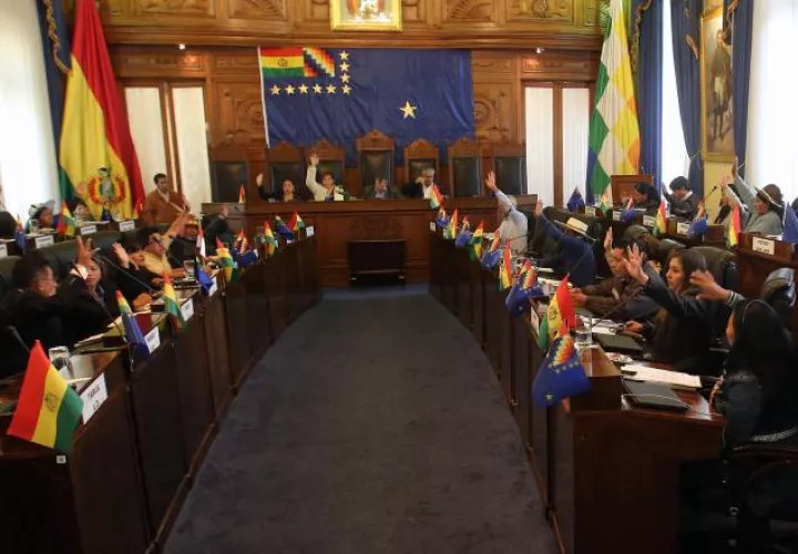La planta de coca está protegida en Bolivia  por la Constitución. /Foto EFE