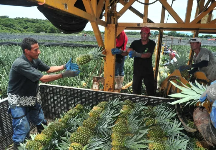 Las exportaciones se encuentran bajas debido a que Panamá es un país que poco produce para ofrecer al mercado internacional. /Foto Archivo