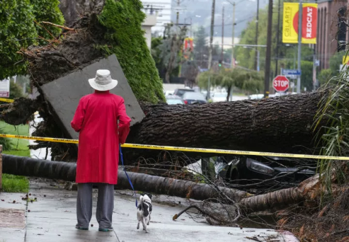 En el área de Sherman Oaks de Los Ángeles, un árbol derribó cables de electricidad, que cayeron sobre un vehículo y un hombre de 55 años en su interior murió electrocutado. FOTO/AP
