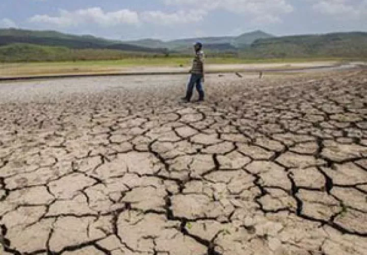 Hay unos 56 municipios en total que presentan más del 25% de sus áreas afectadas por sequía de moderada a extrema.FOTO/EFE