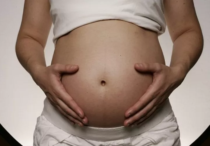  "La sentencia establece el derecho de los menores nacidos en parejas gais o lesbianas a poder ser reconocidos como hijos de ambos padres". FOTO/EFE