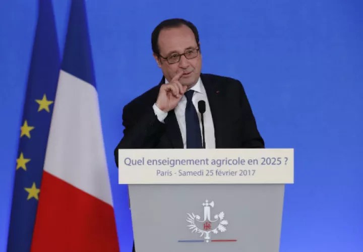  François Hollande, presidente de Francia. Foto/ AP