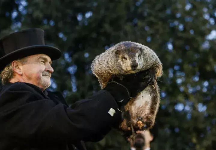 La marmota Phil. Foto/ AP