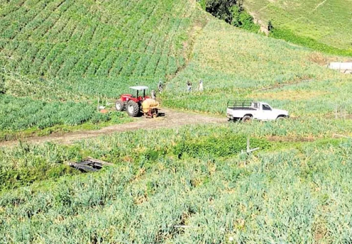 Los productores están preocupados por los problemas que vienen enfrentando. /Foto José Vásquez 
