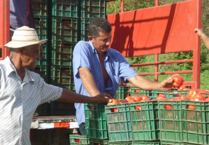 El sector agropecuario registra una de sus peores crisis, sin recibir la atención de las autoridades. /Foto Archivo