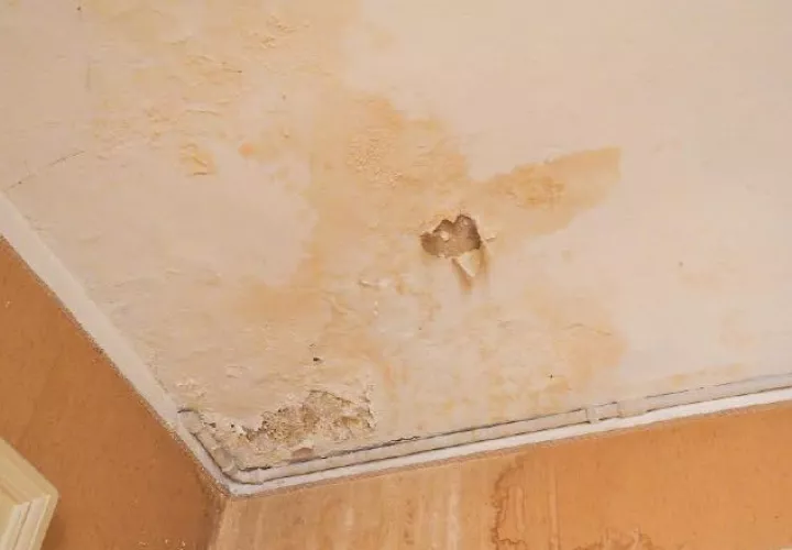 Se recomienda una pintura impermeable con base de agua. /Foto Archivo