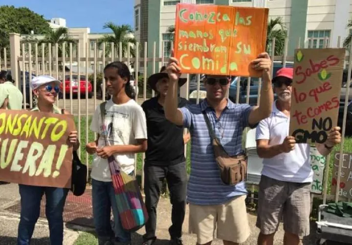 La actividad fue dedicada al fenecido periodista Carmelo Ruiz Marrero, quien escribió sobre los peligros de los transgénicos. 