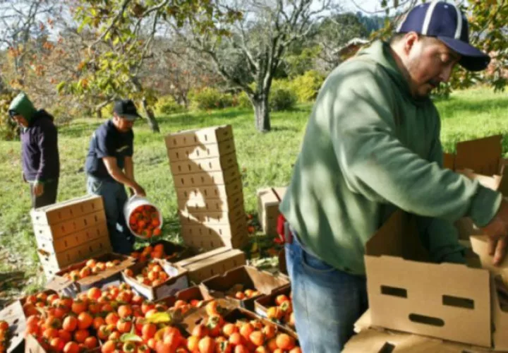 La realidad es que ha bajado la cantidad productiva de rubros en el país.