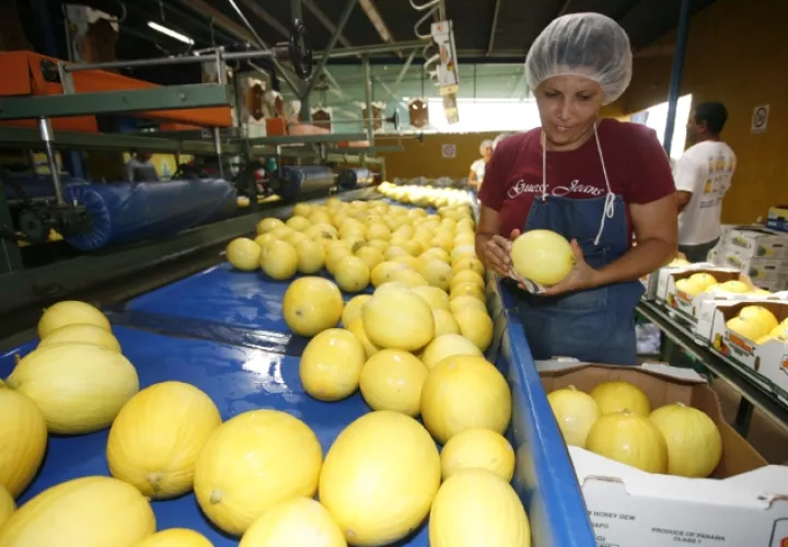 Los requisitos para importaciones son menos que los que se les exigen a productores nacionales. /Foto Archivo
