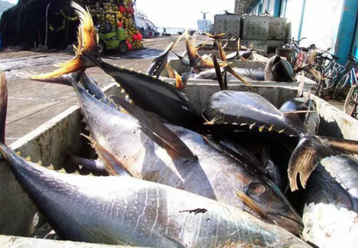  Mercado estadounidense de atún en lata está valorado en cerca de $700 millones.