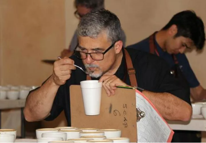 Se encontraron con cafés con 93 puntos o más, sobre 100.