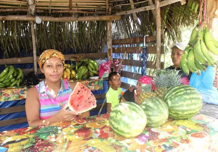 Los ranchitos se llenan de mucha producción agrícola. Fotos: José Manuel Adames. 