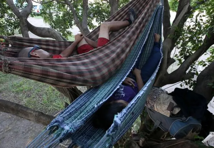 Los venezolanos que llegan a Brasil algunos improvisan casas en los árboles. FOTO/EFE
