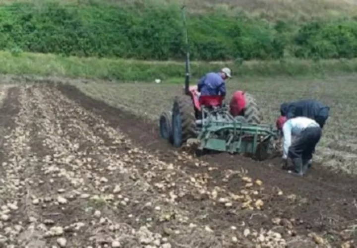 Productores sostienen que el proyecto de ley 443 garantiza en los mercados la producción nacional. /Foto José Vásquez