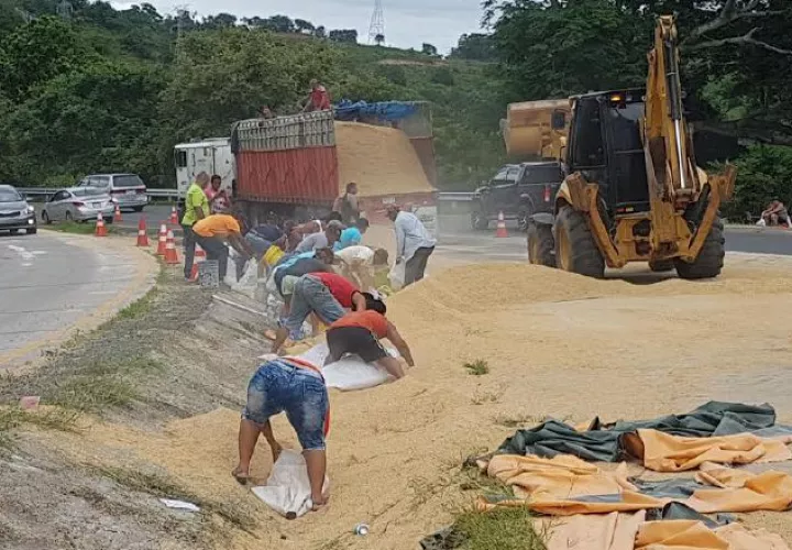 Moradores recogen arroz. /Foto Raimundo Rivera