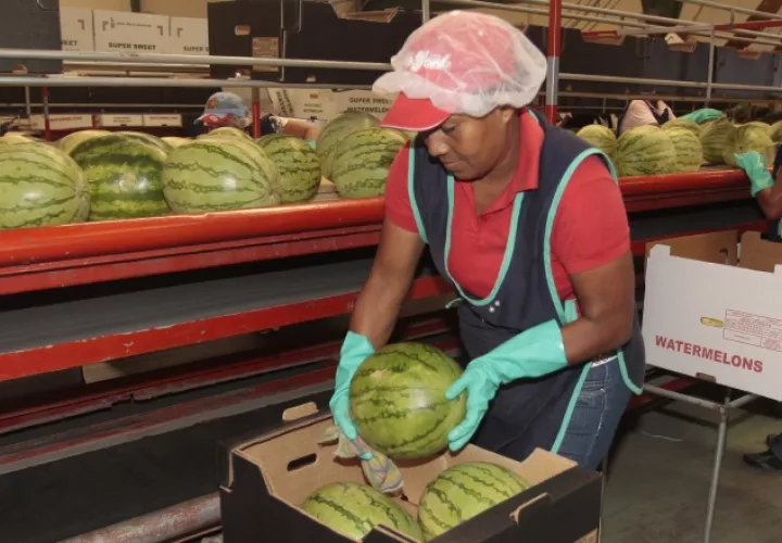 Panamá debe aprovechar las relaciones con China para  que los productores vean una oportunidad de exportar. /Foto Archivo