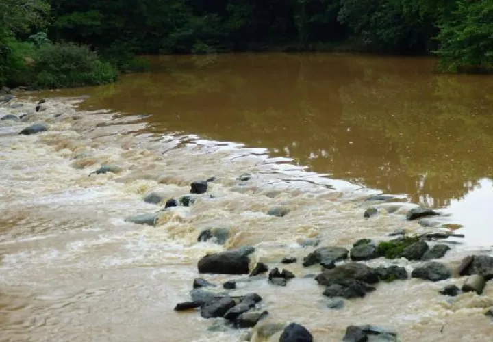 La crecida del río La Villa se mantuvo ayer, al igual que sus niveles de turbiedad. /Foto Thays Domínguez 