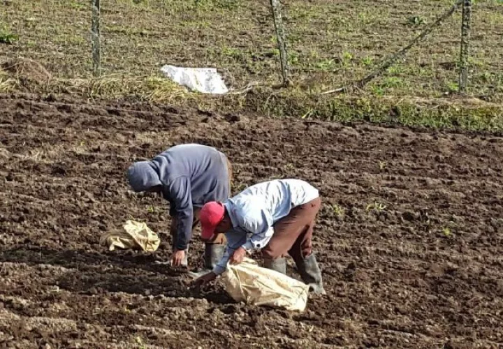Los productores están esperando respuestas concretas por parte del Ejecutivo. /Foto José Vásquez 