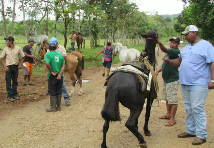Fotos: Erick Ariel Montenegro.