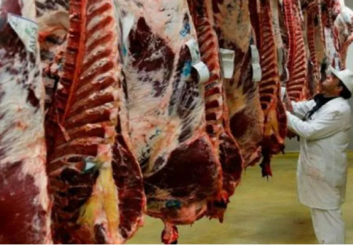 Avicultores han denunciado la venta de pollo importado que es vendido como si fuera  fresco