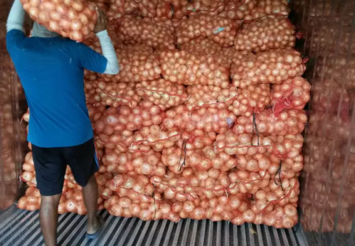 En tres ocasiones la Aupsa ha firmado protocolo de importación de cebolla, lo cual no descarta que este dando en otros rubros, informó Jiménez. Foto/Archivo