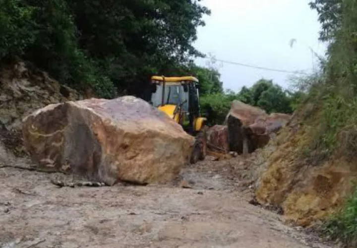 Buscan la manera de despejar los caminos. 