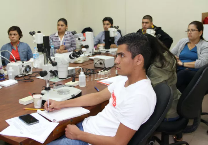 Buscan evitar el establecimiento y propagación de la plaga