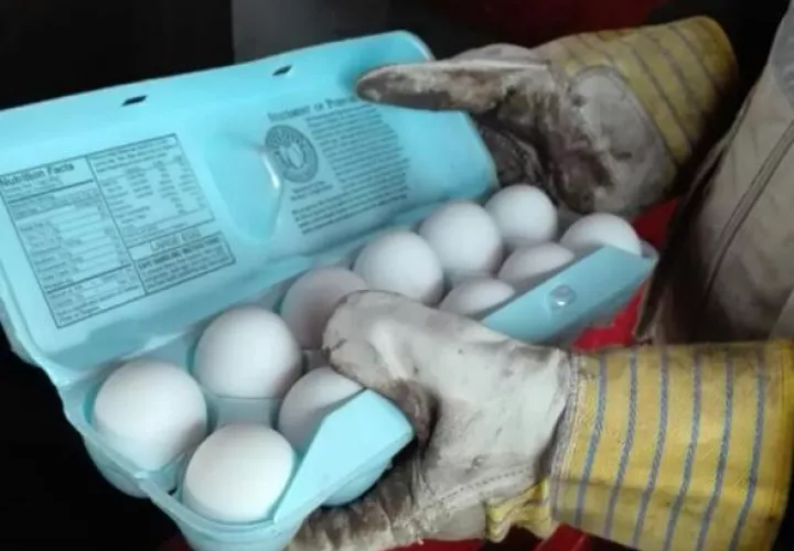 No eran aptos para el consumo humano