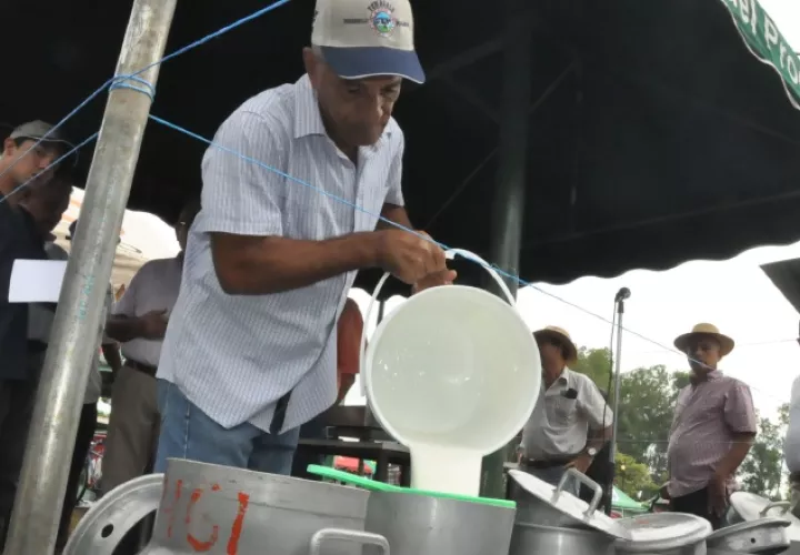 La producción de leche grado C es una de las principales actividades del sector ganadero de  Azuero. /Foto Thays Domínguez 