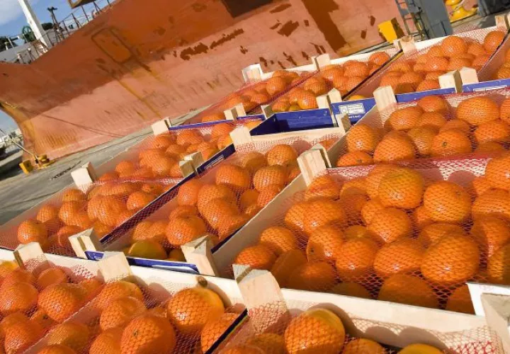 Mostraron un crecimiento del 9% en mayo de este año EFE