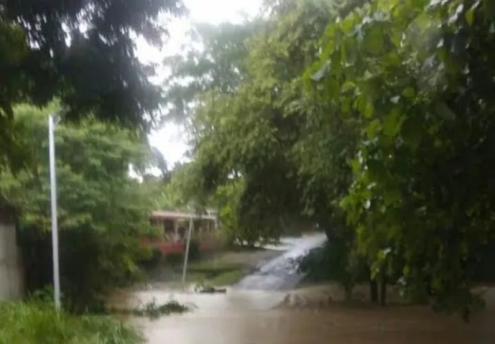 Foto: Elena Valdez.