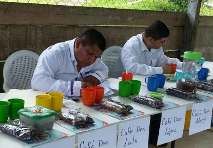 Valoraron acidez, cuerpo y suavidad del café. Foto: Cortesía.