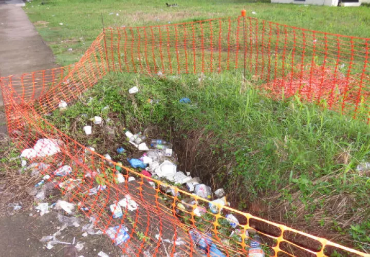 Hacen un llamado a los residentes a evitar que se proliferen los criaderos de mosquitos. Foto: Diómedes Sánchez
