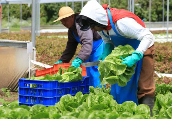  Los productores y los técnicos del Mida analizaron en el taller varios componentes