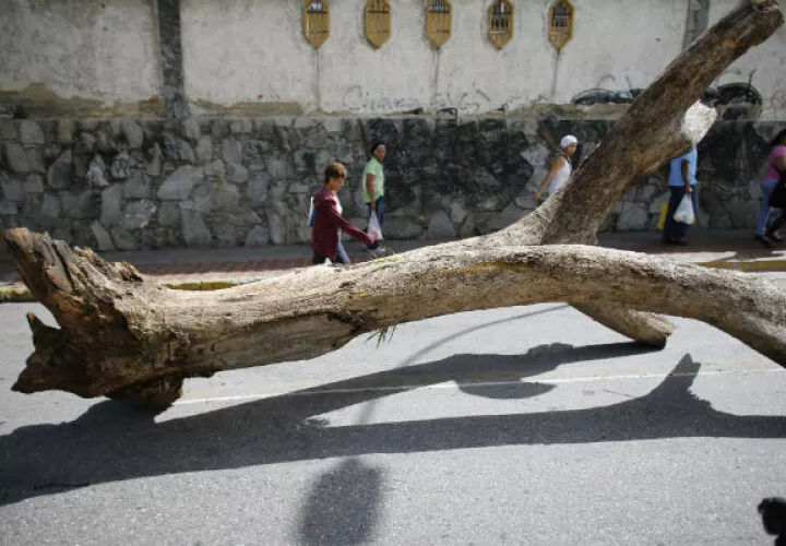 Utilizaron árboles como barricadas. Foto/ AP