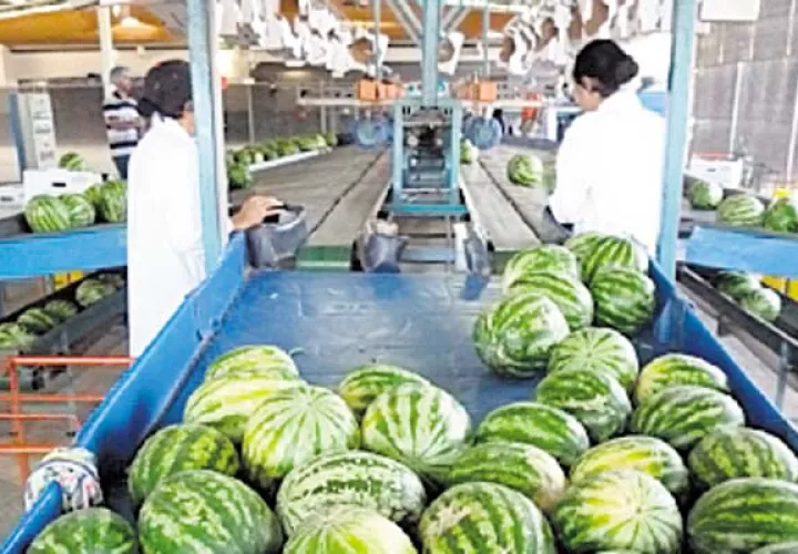 Exportaciones de  frutas locales caen  más del 50% este año