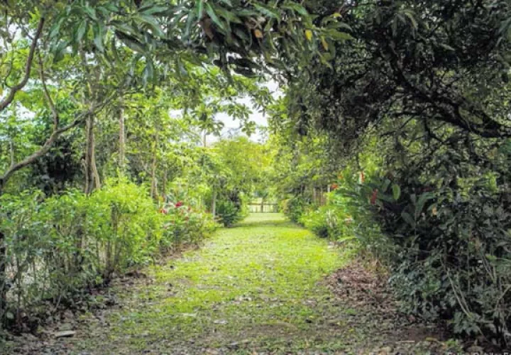 La narración de un amor interracial en Panamá