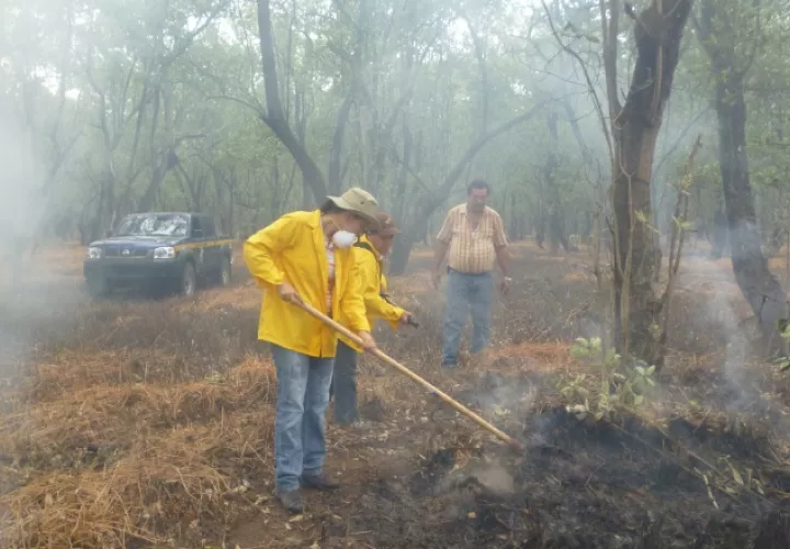 Además de los incendios, el uso indiscriminado de plaguicidas también causa afectación a estas áreas. /Foto Thays Domínguez 