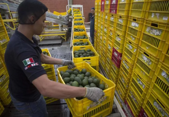 Aseguran que el balance de riesgos de la deuda  está equilibrado,  lo cual explica la ratificación de calificación  al mismo   nivel de Moody's.  EFE