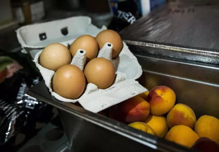 Recogen huevos contaminados. EFE
