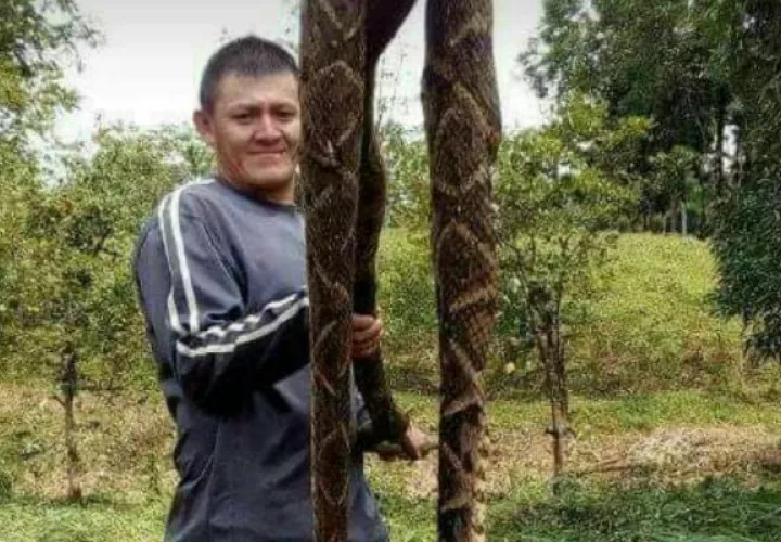 El animal, de más de un metro de largo. 