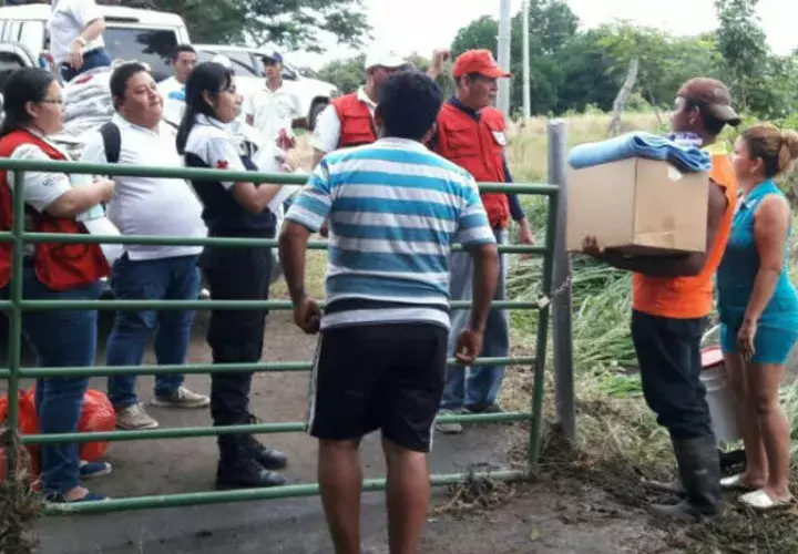 Foto: Zenaida Vásquez.