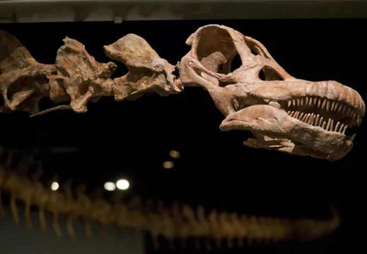 El Patagotitán. Foto/ AP