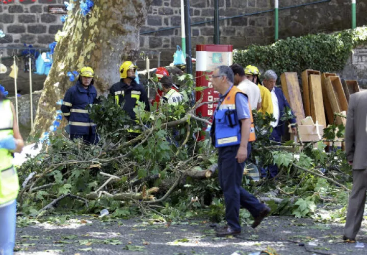 Bomberos y rescatistas trabajan en el lugar. Foto/ EFE