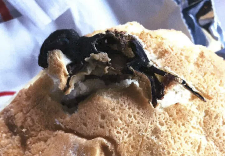 Pensó que el pan estaba quemado. Foto/ AP