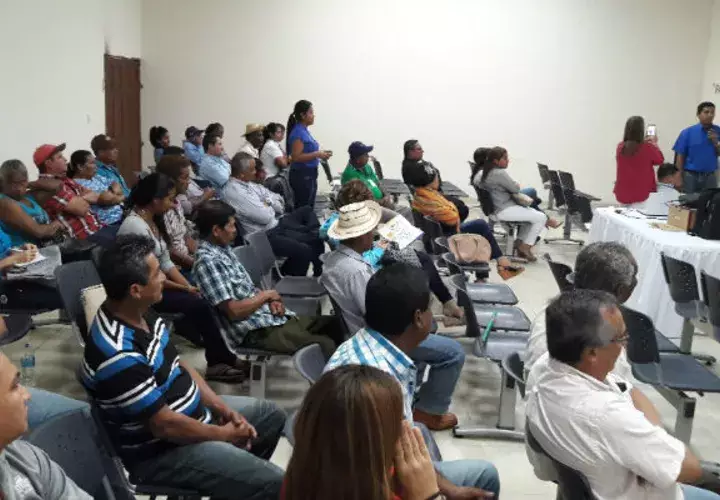 Foto: José Adames
