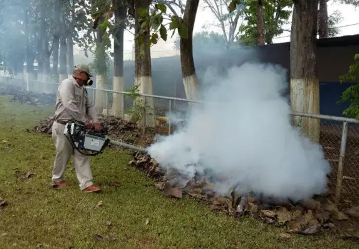 Labor de fumigación. Foto: Archivo/Ilustrativa 