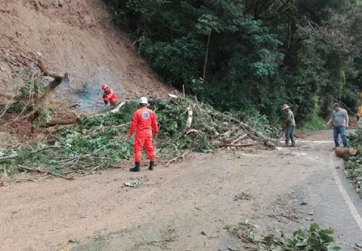 Toneladas de lodo y gran cantidad de árboles obstaculizaban el tráfico hacia Santa Fe de Veraguas. /Foto José Manuel Adames 